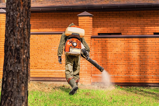 Trusted Cockroach Control service in Jonestown, PA - Nex Pest Control
